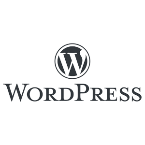 logo wordpress page accueil efficiency.fr